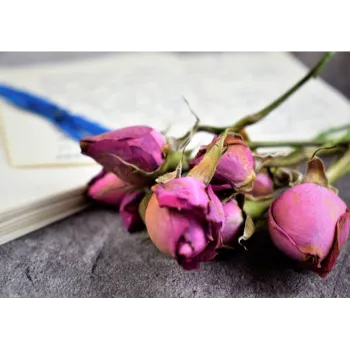 Natural Dry Rose 